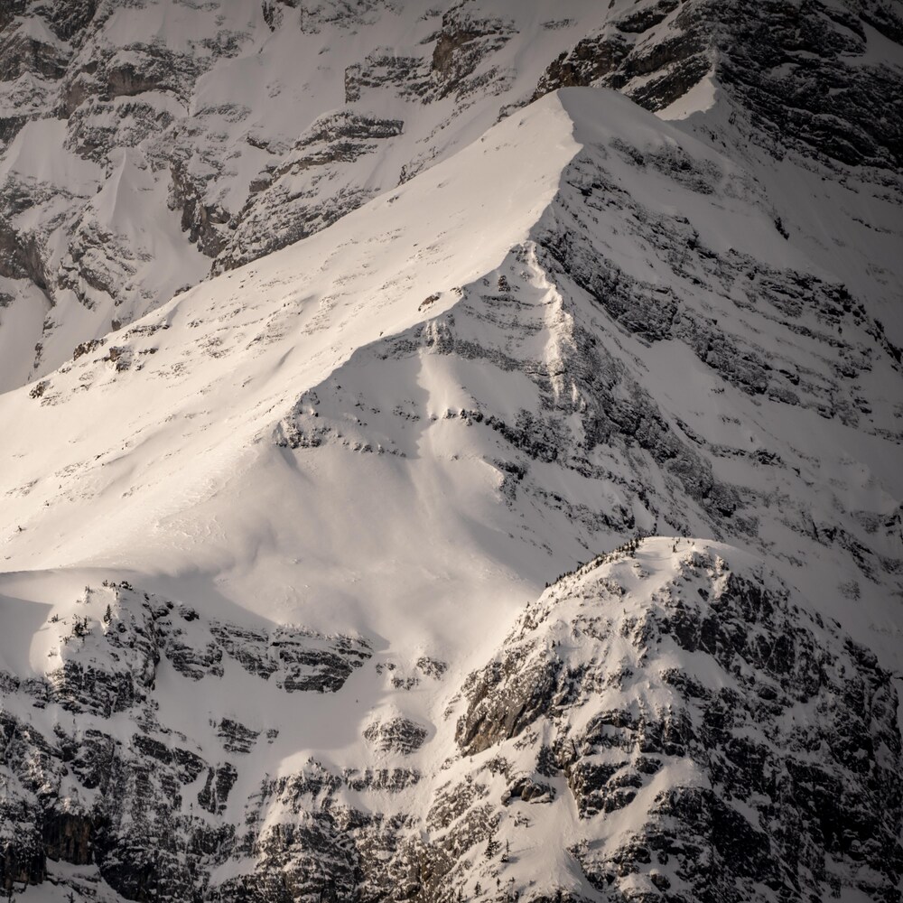 Le sommet d'une montagne pointue couverte en partie de neige avec quelques pins. 