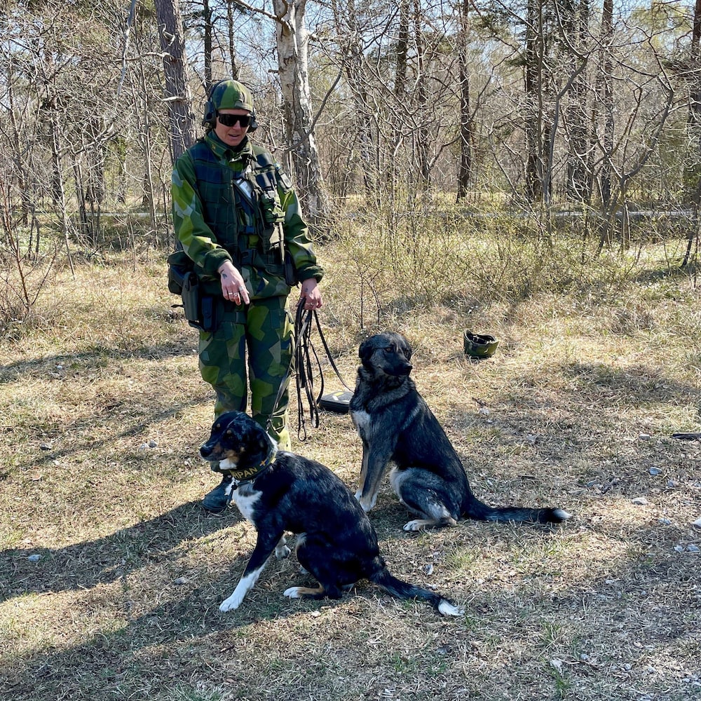 Jeannette and two dogs.