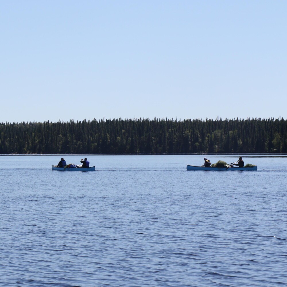 Trois canots sur l'eau, au loin.