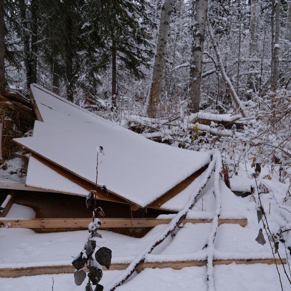 Planches et morceaux de bois empilés dans la forêt, et recouverts de neige, le 25 octobre 2022.