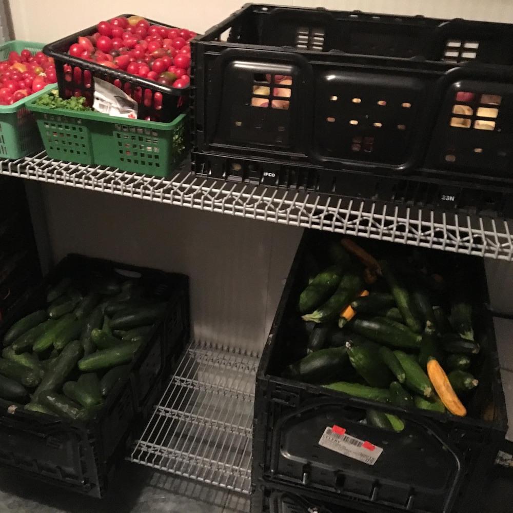 Des courgettes, des tomates et des concombres entreposés dans une chambre froide au CRAC-PP.