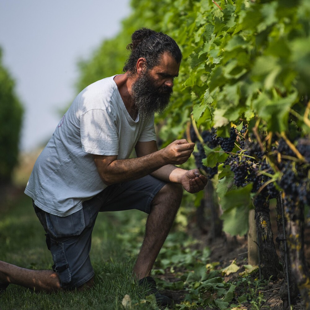 Un homme agenouillé devant la vigne.