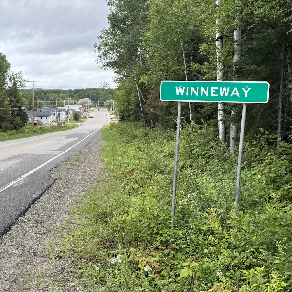 La route principale descend vers les premières maisons de Winneway, entourées par la forêt boréale.