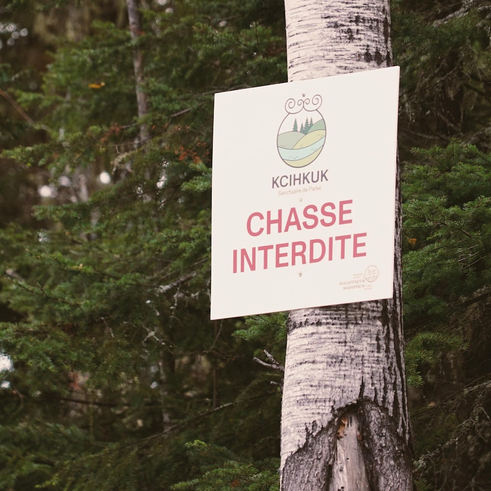 Une pancarte clouée à un arbre indique que la chasse est interdite.