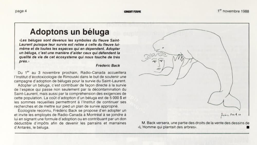 Court article avec une citation de Frédéric Back et une illustration d'un béluga que l'illustrateur a réalisée.
