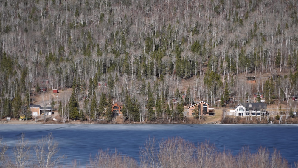 Des maisons construites le long d'un lac.