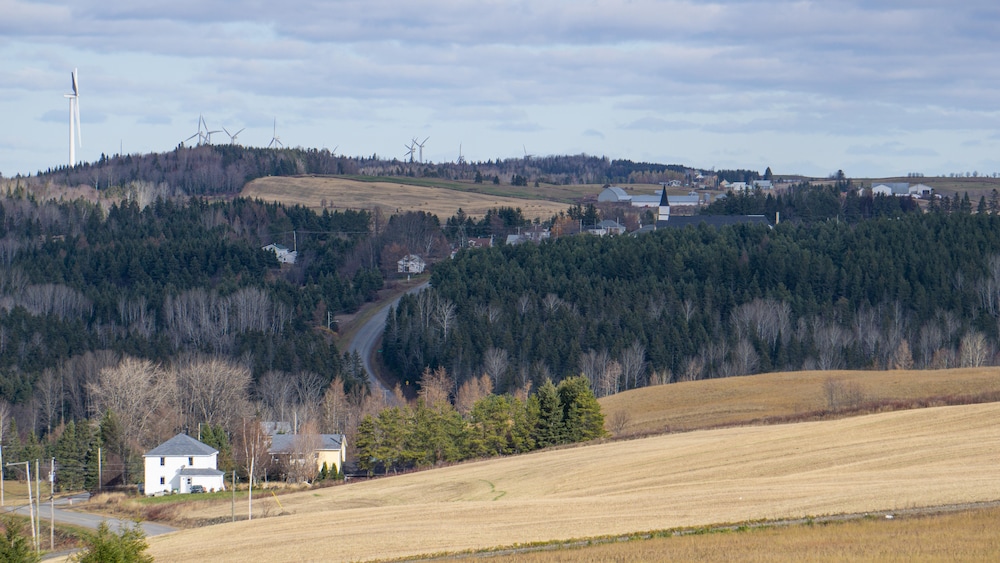 Un village entouré, d'arbres, de champs et d'éoliennes.