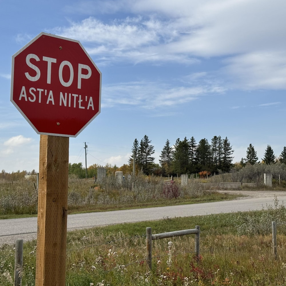 Un panneau d’arrêt bilingue au bord d’une route, devant des herbes hautes et des arbres.