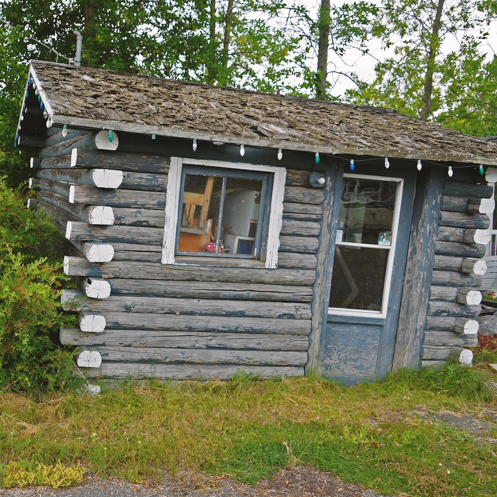 Une cabane en bois rond abandonnée.