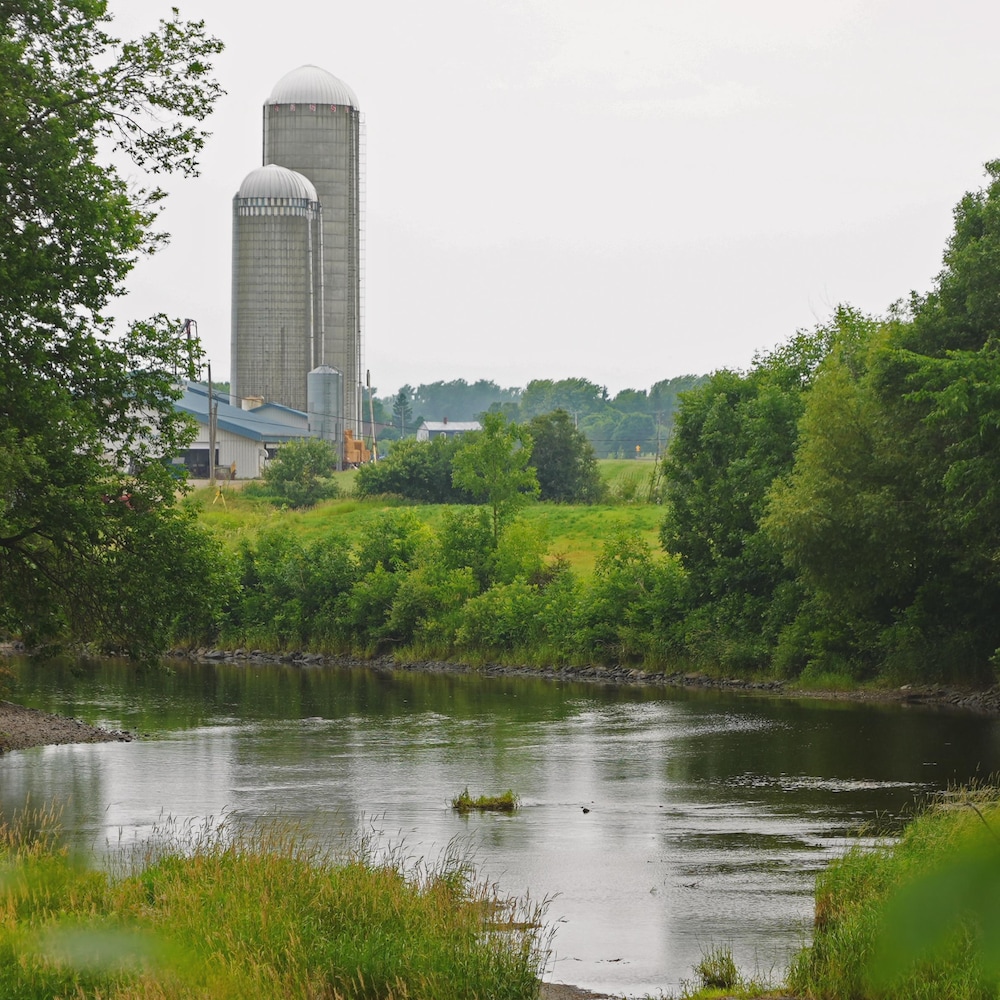 Des silos à grains sur le bord d'une rivière.