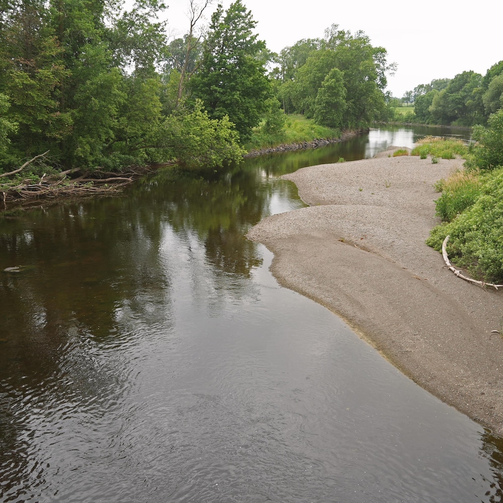 UNe rivière qui serpente en milieu agricole avec des bancs de sable qui affleurent. 