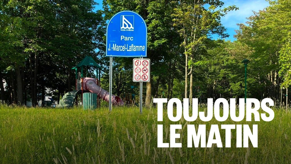 Le gazon et le foin poussent allègrement au Parc J.-Marcel-Laflamme.