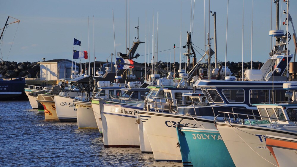 Des bateaux en rang au quai.