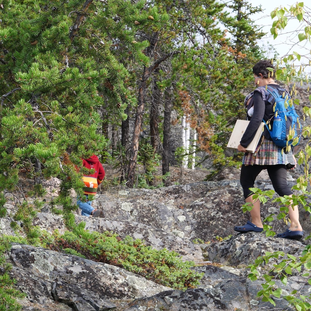 Alison McCreesh se balade dans la forêt avec son fils.