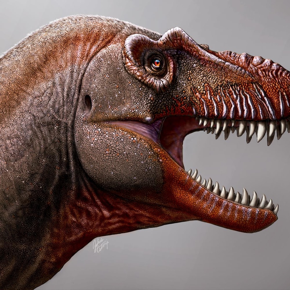 Représentation d'un tyrannosaure la gueule ouverte. On peut voir une rangée de dents acérées. Des lignes verticales comme des cicatrices ponctuent sa mâchoire. 