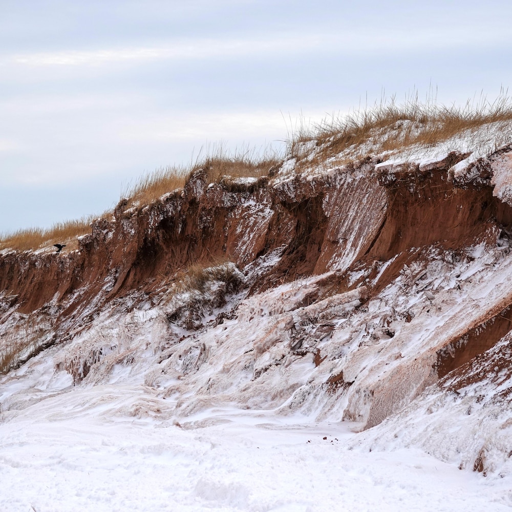 Une dune.