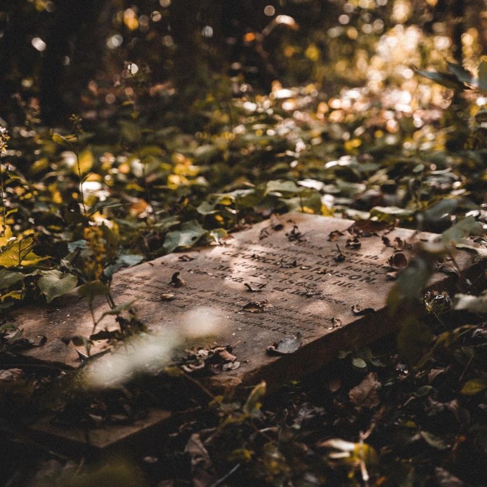 Une pierre tombale couchée sur un sol rempli d'herbes et de feuilles.