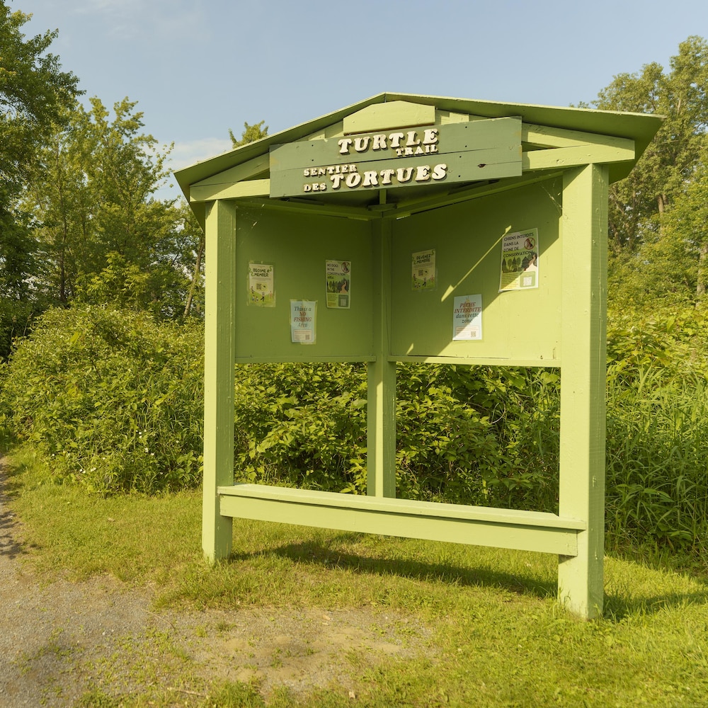 Un grand panneau d'affichage sur le bord d'un sentier qui mène à une forêt.