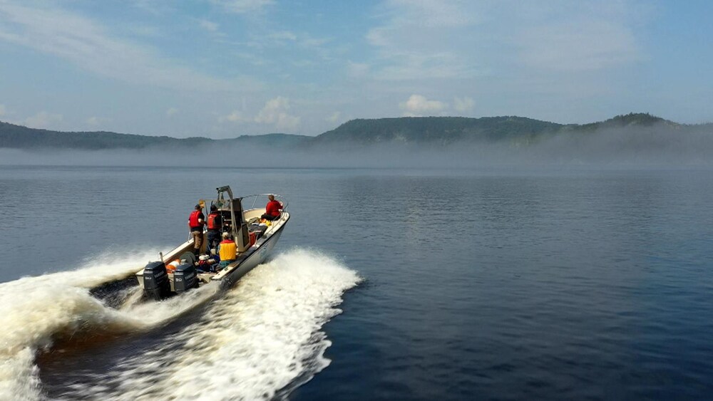 Des spécialistes se promènent en chaloupe sur Le fjord du Saguenay.