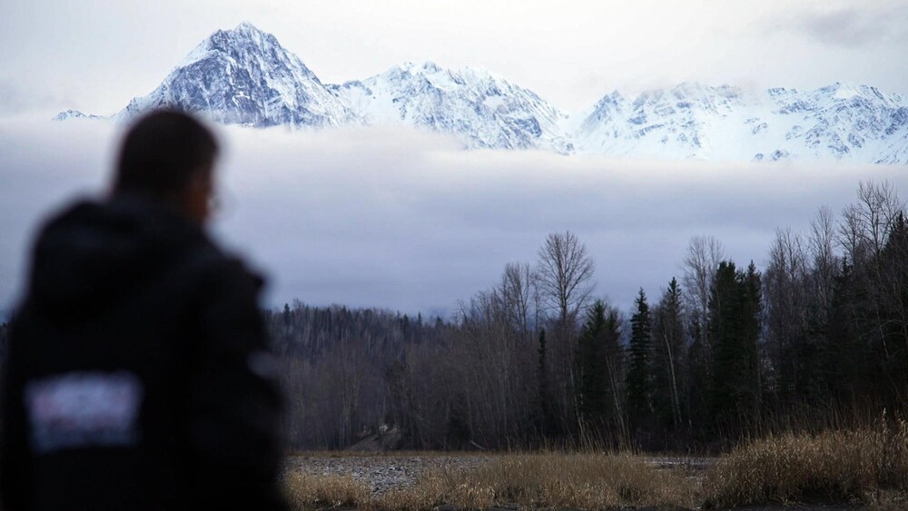 Une personne regarde un paysage nordique.