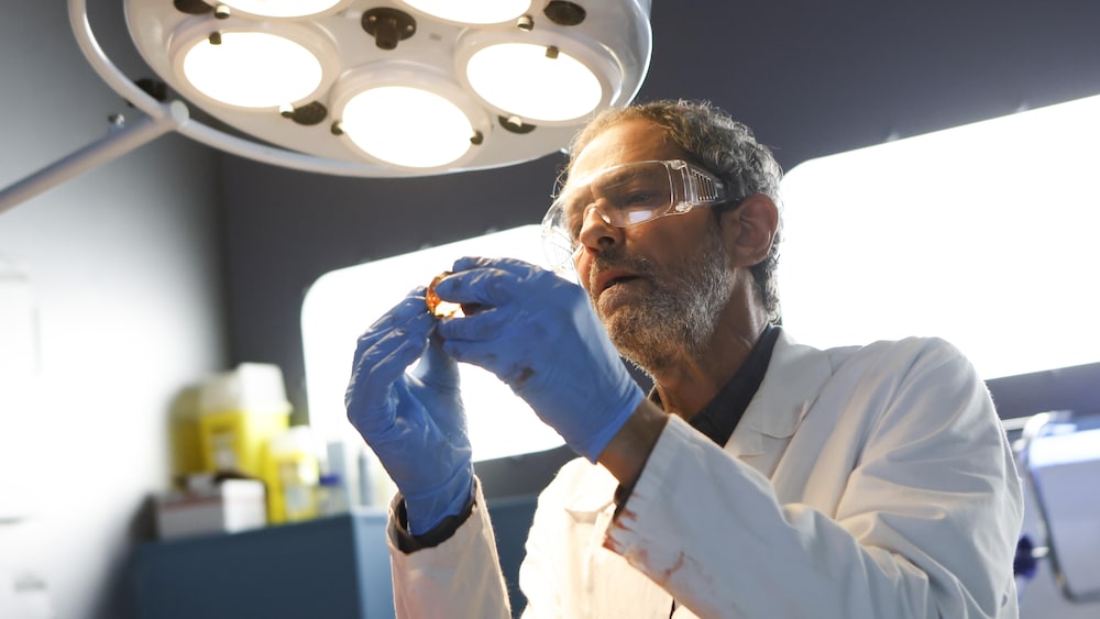 © philippe le roux - ftv - jla / PHILIPPELEROUX/JLA/FRANCE-TV Henry tient dans ses mains quelque chose qu'il regarde sous une lumière intense. Il porte des lunettes de protection.