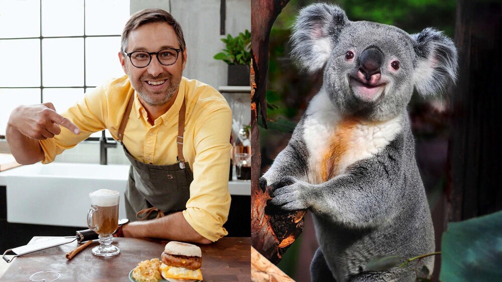 Image en deux parties : à gauche, Bob le Chef souriant; à droite, un koala souriant.