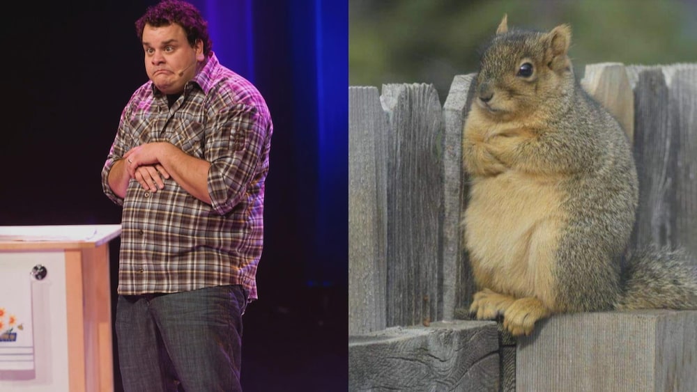 Duo photos de Phil Laprise et un écureuil.