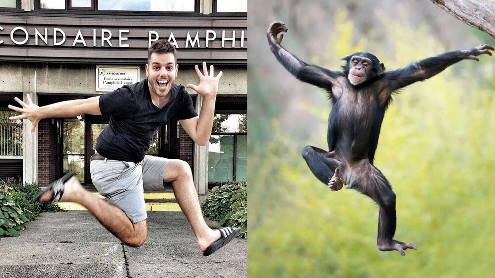 Duo de photos : Sam Breton et un chimpanzé.