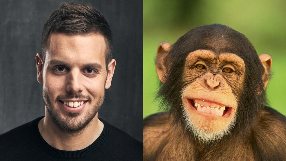 Sam Breton en duo photo avec un chimpanzé.