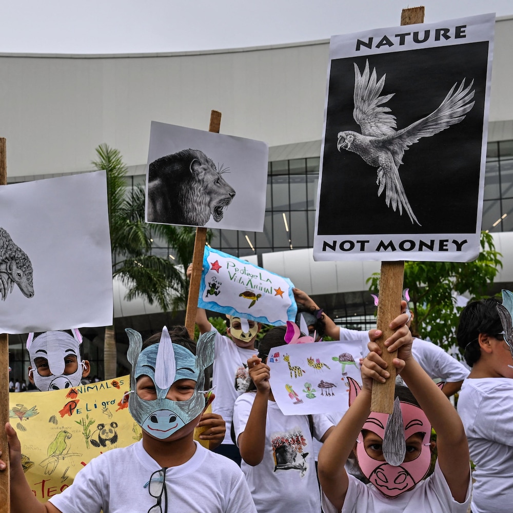 Plusieurs enfants avec des masques d'animaux se tiennetn devant un immeuble. Ils tiennent des pancartes avec des images d'animaux. Une des pancartes dit "Nature, not money", soit "La nature, pas l'argent". Sur cette affiche se trouve un perroquet. D'autres affiches montrent un lion et un tatou.