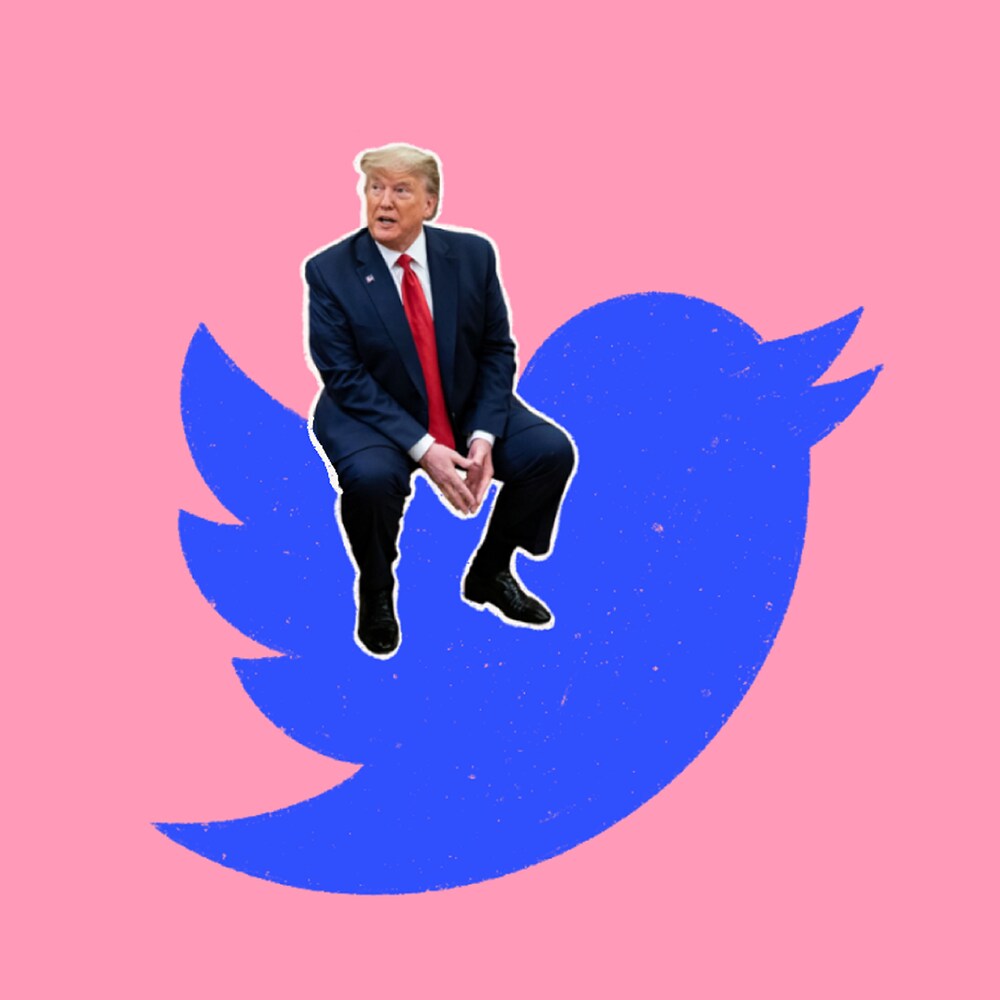 Donald Trump assis sur l'oiseau de Twitter.