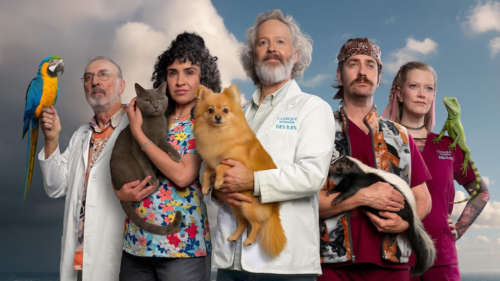 Radio-Canada Visuel de la série Temps de chien.