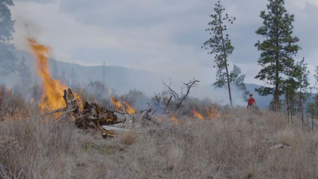 As Trump threatens wildfire smoke tariffs, Canada looks to reduce fire ...