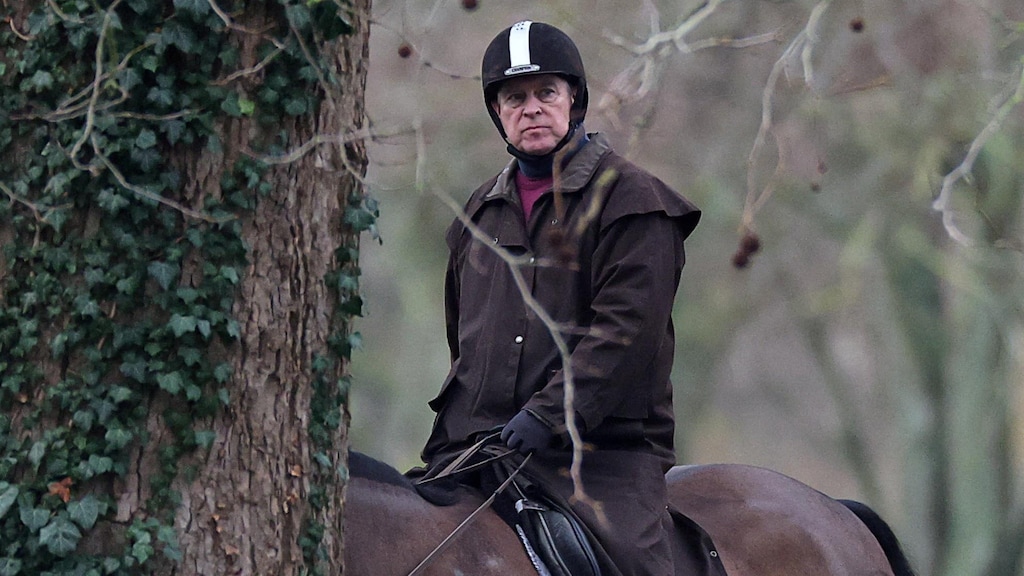 Former prince Andrew Mountbatten-Windsor arrested by U.K. police ...