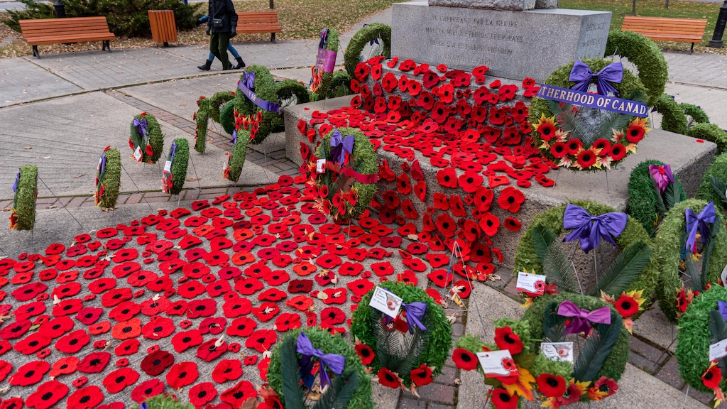 Chaque novembre, le coquelicot devient le symbole des soldats disparus ...