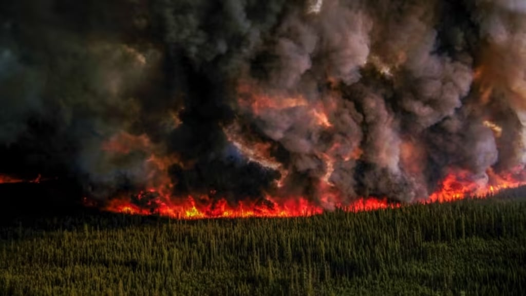 Incendios Forestales