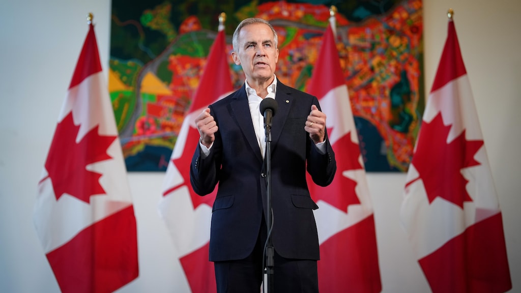 "El 2025 será un período crucial", dice Mark Carney Radio-Canada.ca