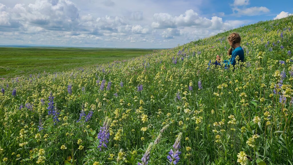 L’Alberta inclut les zones exploitées dans sa définition d’aires ...