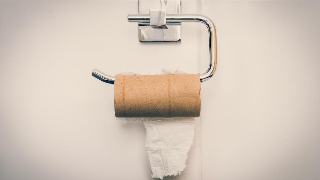 Un rollo de papel higiénico vacío.