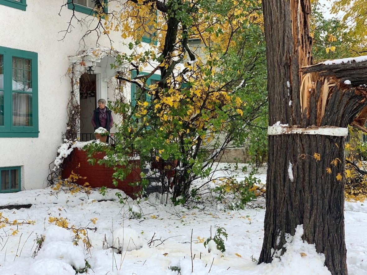 La Reconstruction Se Poursuit Un An Apres La Tempete De Neige D Octobre 19 Radio Canada Ca