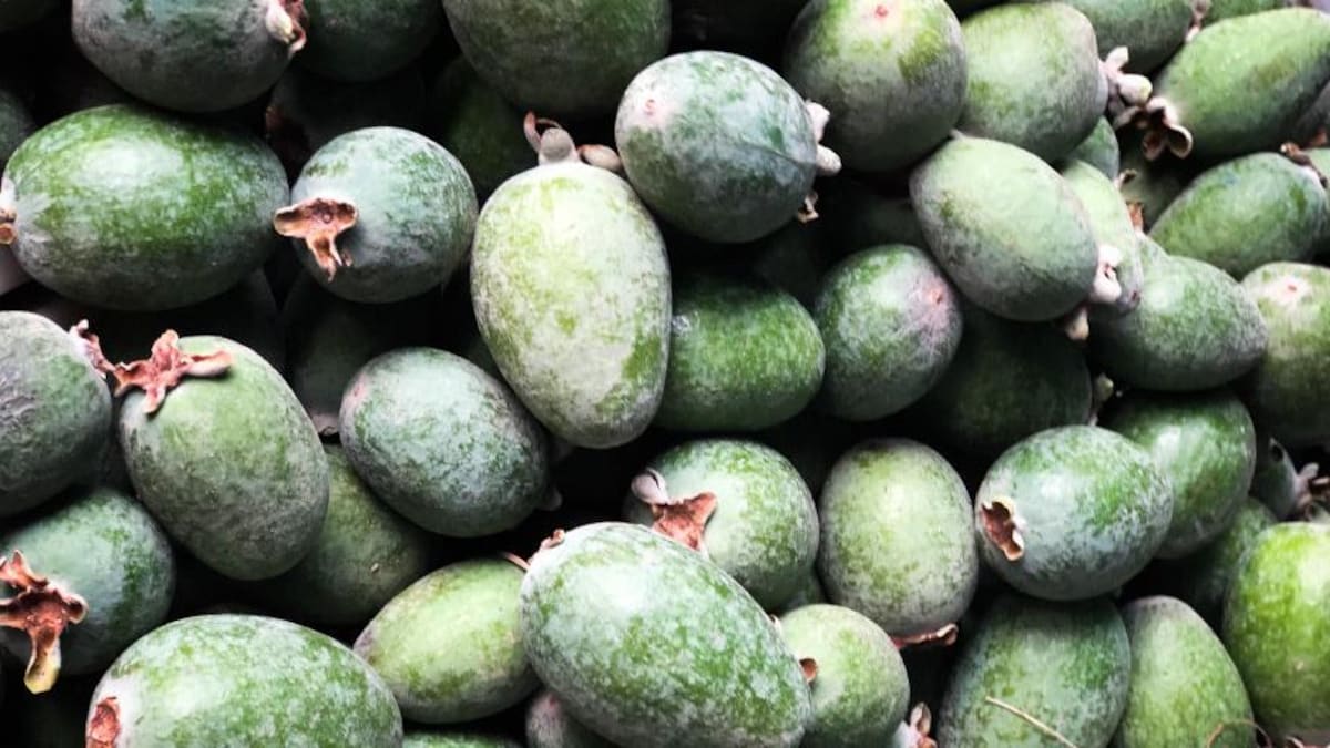 3 fruits découverts à San Francisco Savourer x Mordu