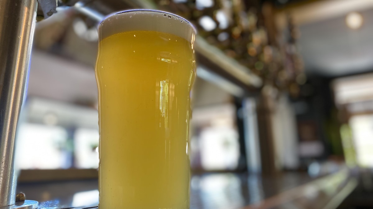 Pinte de bière sur le comptoir d'un bar.