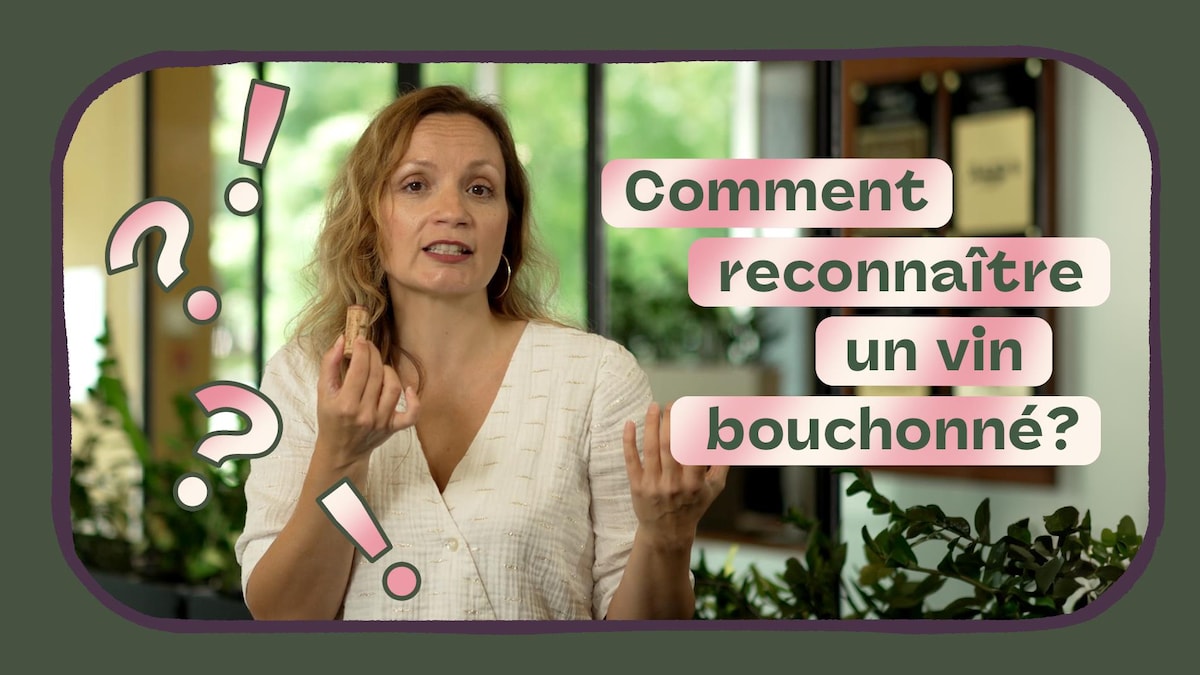 S1É3. Comment reconnaître un vin bouchonné? Mordu