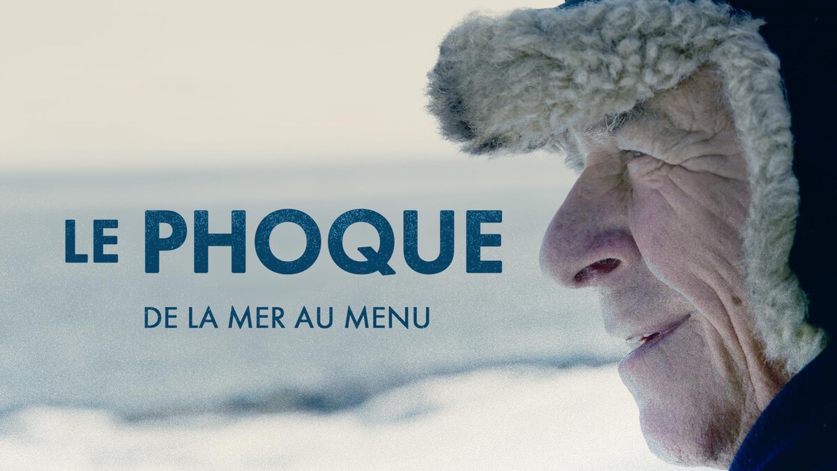 Le phoque, de la mer au menu | Mordu