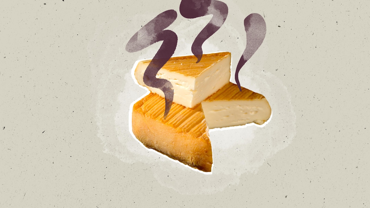 Top 10 des fromages qui puent le plus Recette 1