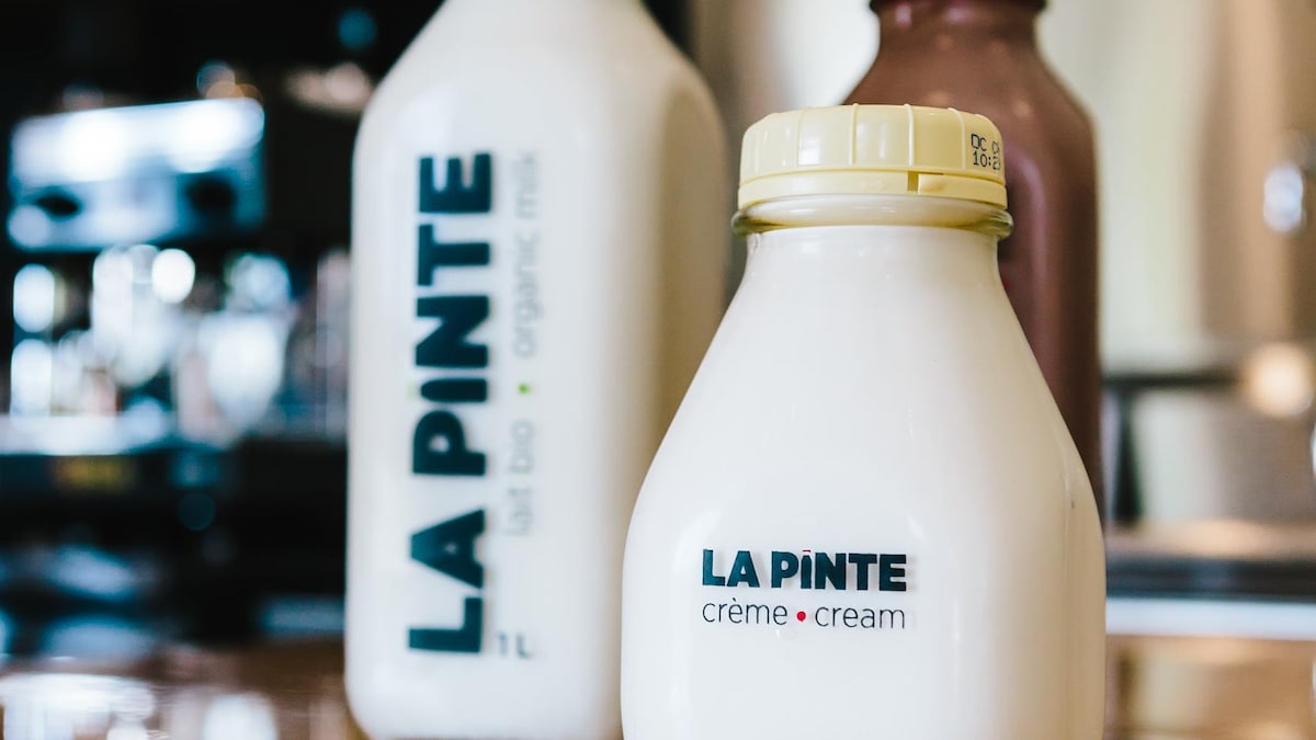 Une pinte de lait, comme dans le temps Savourer x Mordu