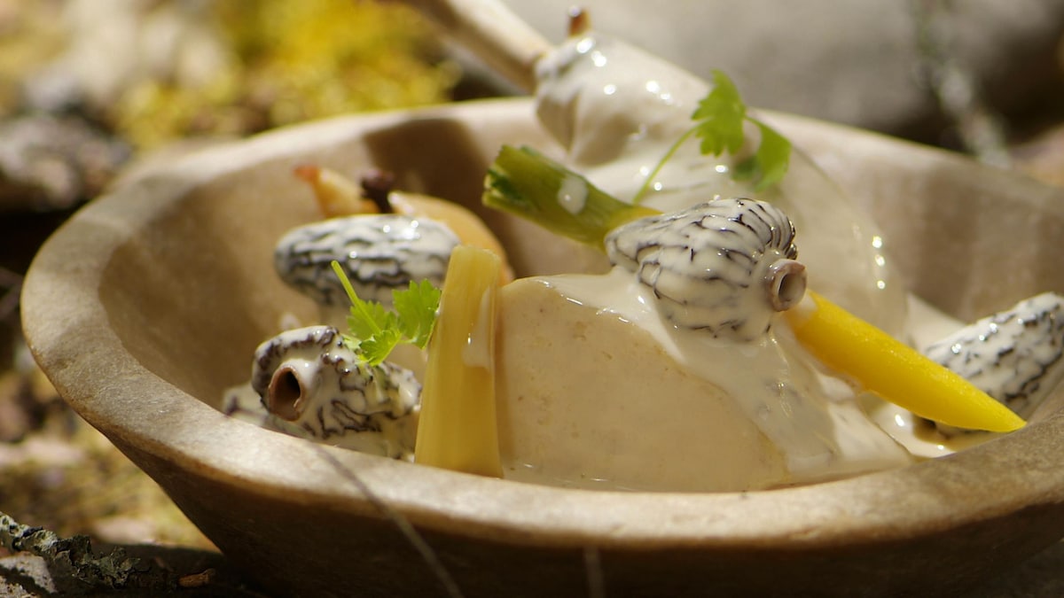 Poularde aux morilles et au vin jaune | Mordu