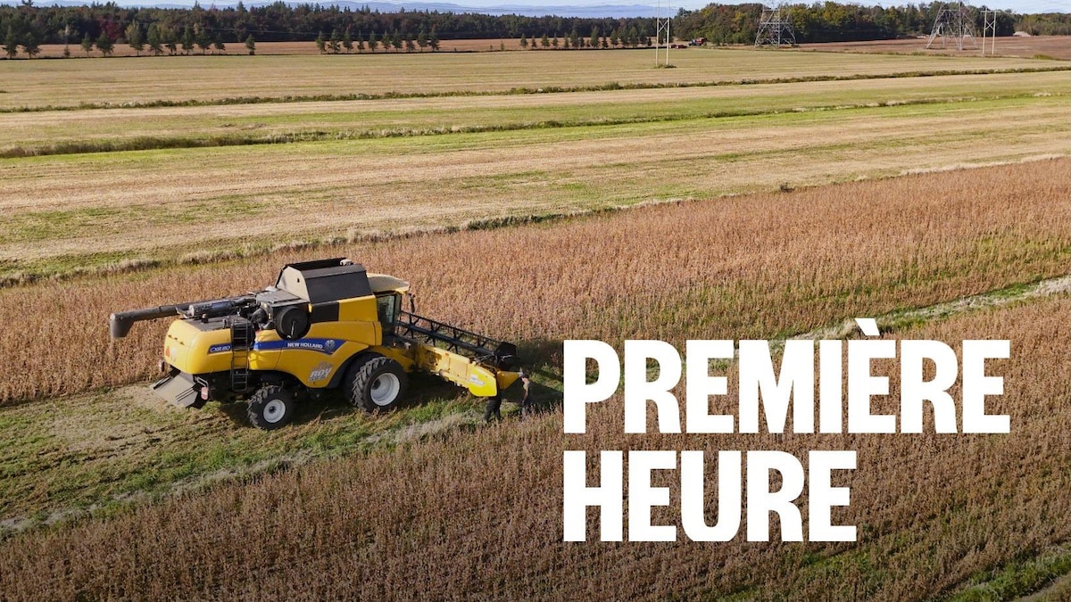 « L’UPA n’a pas été consultée » : cri du cœur des agriculteurs