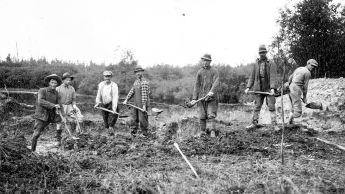 La colonisation laborieuse de l’Abitibi