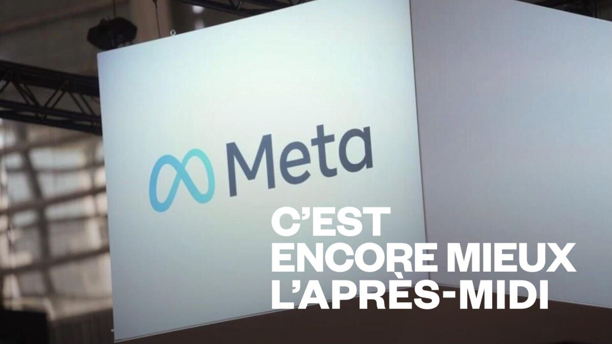 Meta continue de faire des milliards de dollars chaque année | OHdio ...